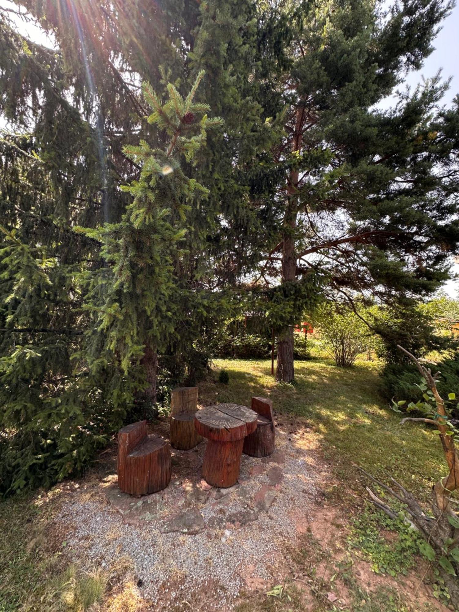 Villa Borovitsa Buitenkant foto